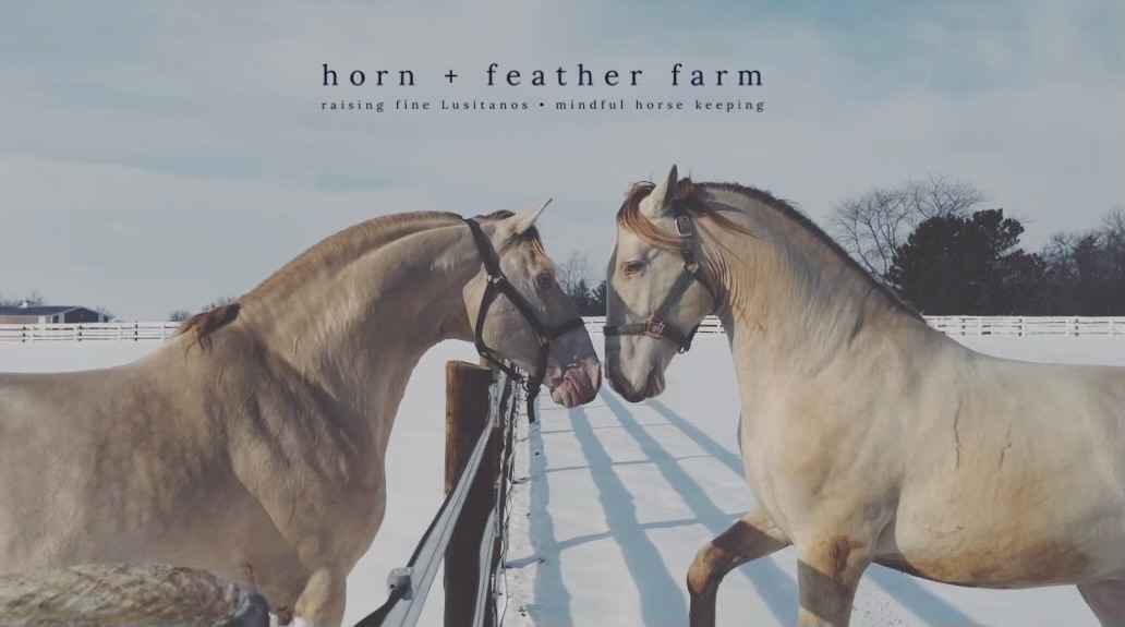 Horn + Feather Farm